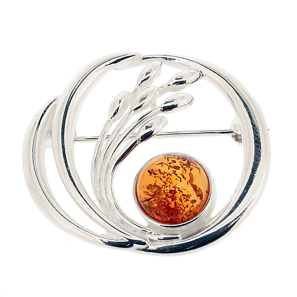 Amber: Nature's Ancient Treasure