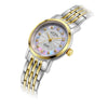 Ladies' Rotary Windsor Diamond in two tone stainless steel LB05421/41/D